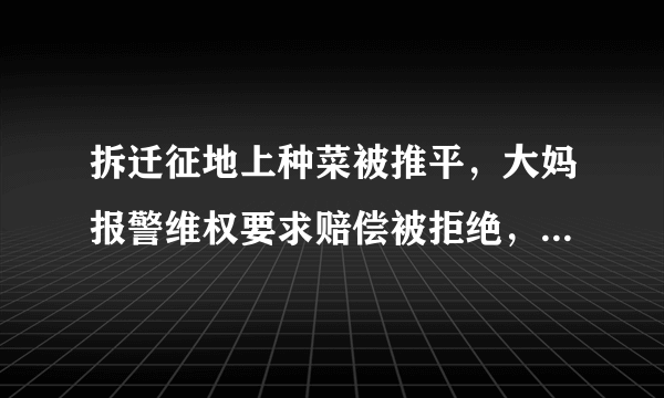 拆迁征地上种菜被推平，大妈报警维权要求赔偿被拒绝，怎么办？