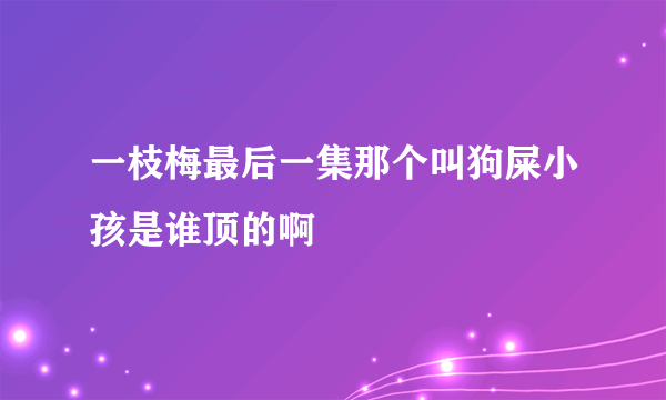 一枝梅最后一集那个叫狗屎小孩是谁顶的啊