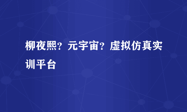 柳夜熙？元宇宙？虚拟仿真实训平台