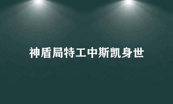 神盾局特工中斯凯身世