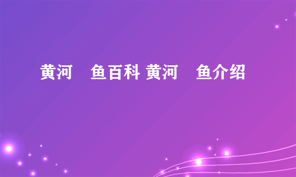 黄河鱽鱼百科 黄河鱽鱼介绍