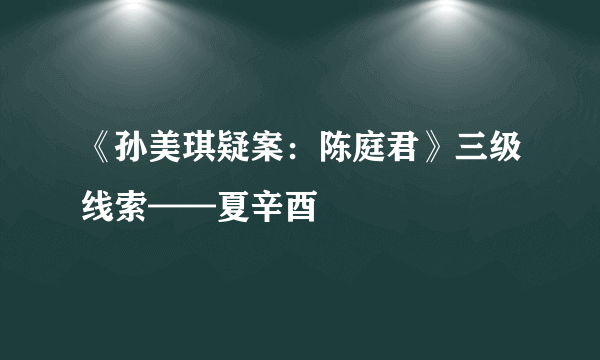 《孙美琪疑案：陈庭君》三级线索——夏辛酉