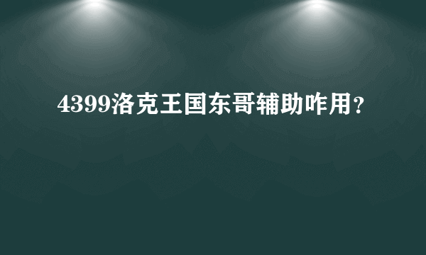 4399洛克王国东哥辅助咋用？