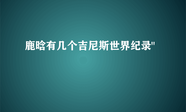 鹿晗有几个吉尼斯世界纪录