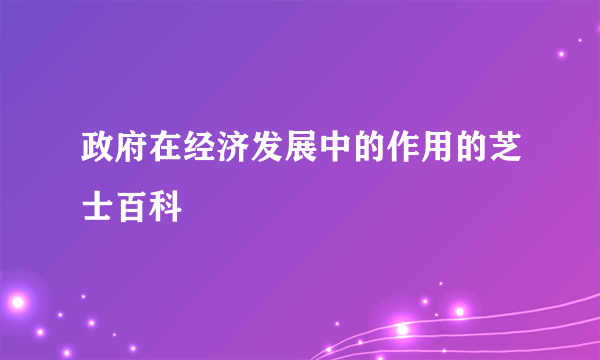 政府在经济发展中的作用的芝士百科