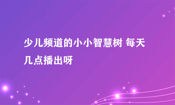 少儿频道的小小智慧树 每天几点播出呀