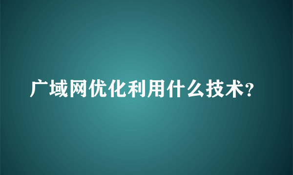 广域网优化利用什么技术？