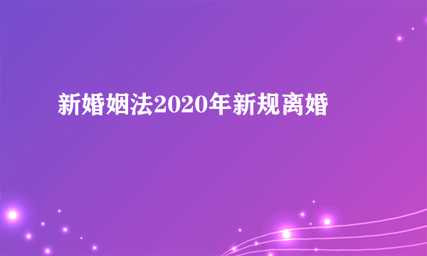 新婚姻法2020年新规离婚