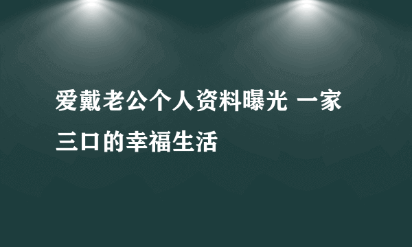 爱戴老公个人资料曝光 一家三口的幸福生活