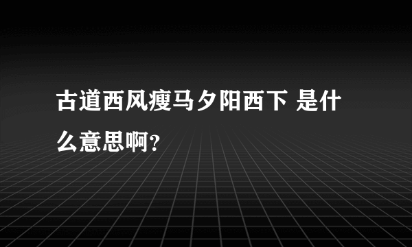 古道西风瘦马夕阳西下 是什么意思啊？