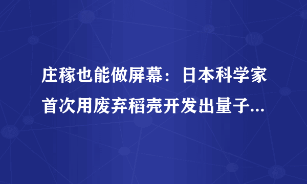 庄稼也能做屏幕：日本科学家首次用废弃稻壳开发出量子点LED灯