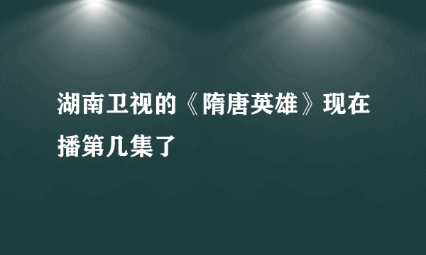 湖南卫视的《隋唐英雄》现在播第几集了