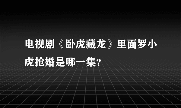 电视剧《卧虎藏龙》里面罗小虎抢婚是哪一集？