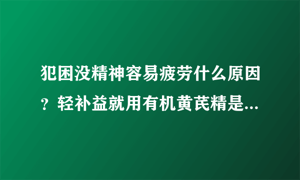 犯困没精神容易疲劳什么原因？轻补益就用有机黄芪精是为什么？