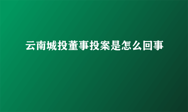 云南城投董事投案是怎么回事