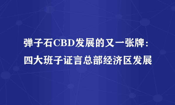 弹子石CBD发展的又一张牌：四大班子证言总部经济区发展