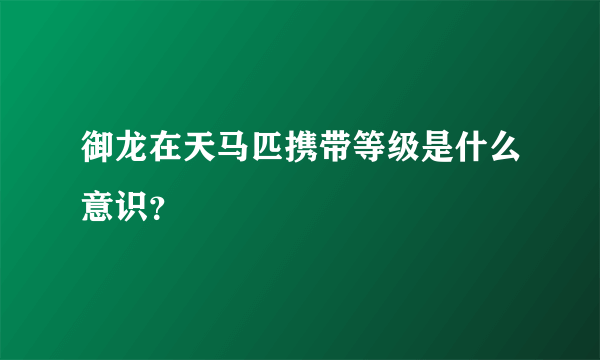 御龙在天马匹携带等级是什么意识？