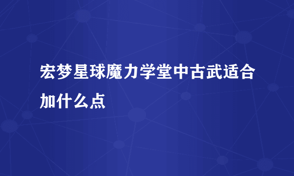 宏梦星球魔力学堂中古武适合加什么点