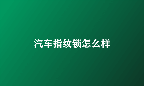 汽车指纹锁怎么样