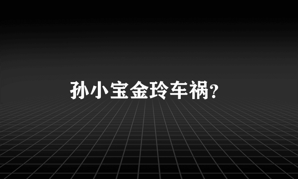 孙小宝金玲车祸？