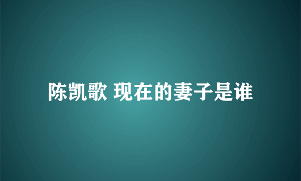 陈凯歌 现在的妻子是谁