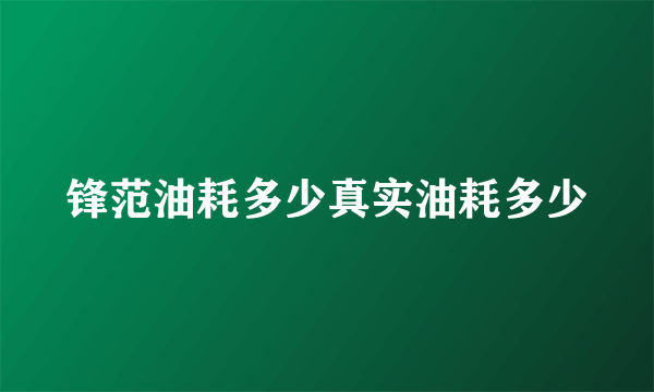 锋范油耗多少真实油耗多少