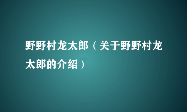 野野村龙太郎（关于野野村龙太郎的介绍）