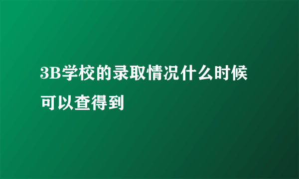 3B学校的录取情况什么时候可以查得到