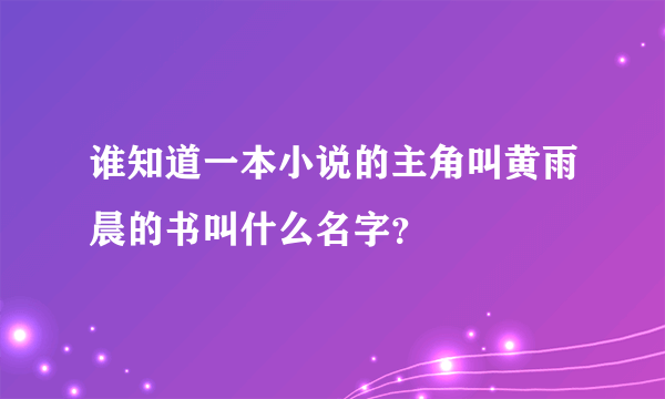 谁知道一本小说的主角叫黄雨晨的书叫什么名字？