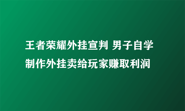 王者荣耀外挂宣判 男子自学制作外挂卖给玩家赚取利润