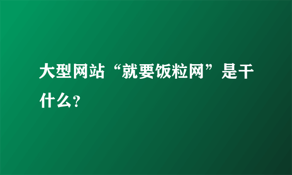 大型网站“就要饭粒网”是干什么？