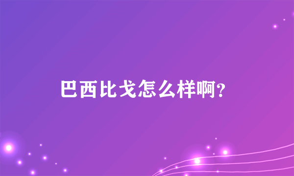 巴西比戈怎么样啊？