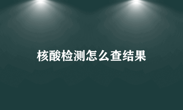 核酸检测怎么查结果