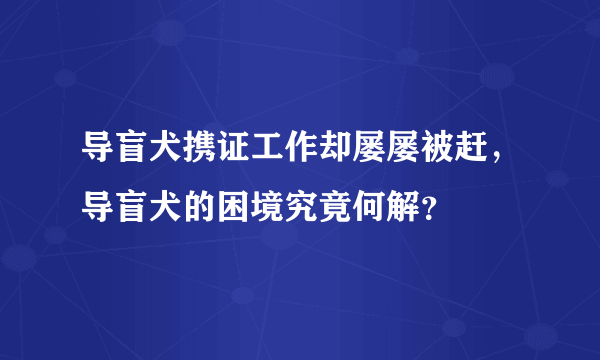 导盲犬携证工作却屡屡被赶，导盲犬的困境究竟何解？