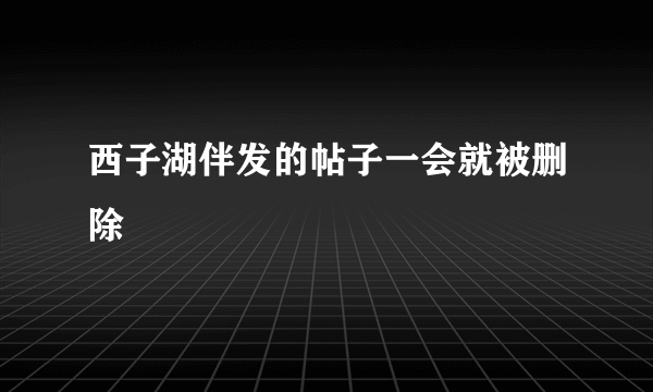 西子湖伴发的帖子一会就被删除