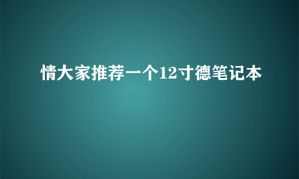 情大家推荐一个12寸德笔记本