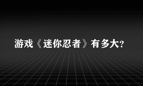 游戏《迷你忍者》有多大？