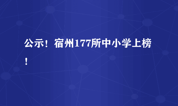 公示！宿州177所中小学上榜！