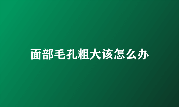 面部毛孔粗大该怎么办