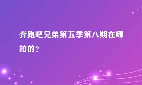 奔跑吧兄弟第五季第八期在哪拍的？