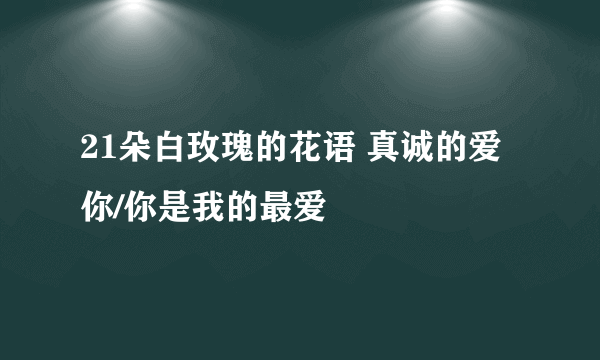 21朵白玫瑰的花语 真诚的爱你/你是我的最爱