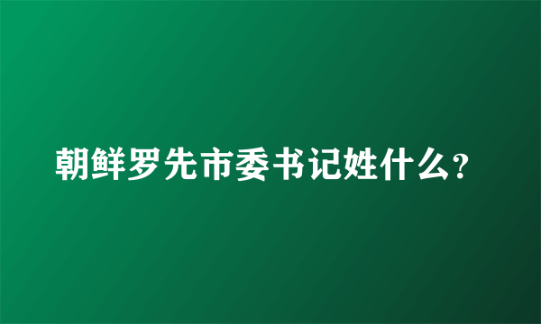 朝鲜罗先市委书记姓什么？