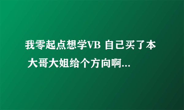 我零起点想学VB 自己买了本  大哥大姐给个方向啊 说什么都可以