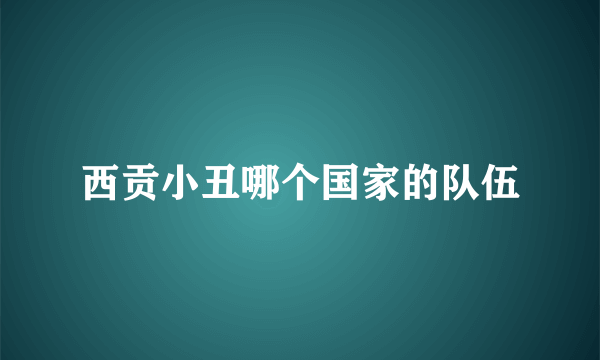 西贡小丑哪个国家的队伍