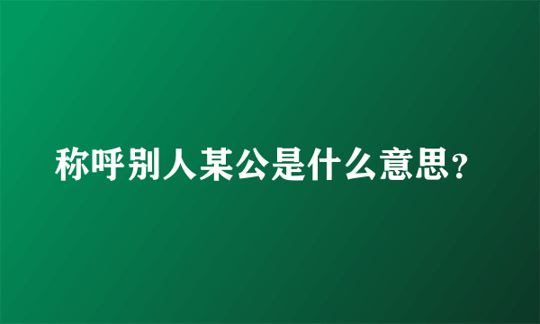 称呼别人某公是什么意思？