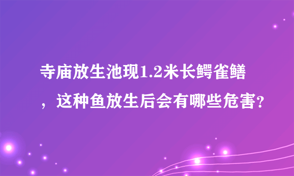 寺庙放生池现1.2米长鳄雀鳝，这种鱼放生后会有哪些危害？