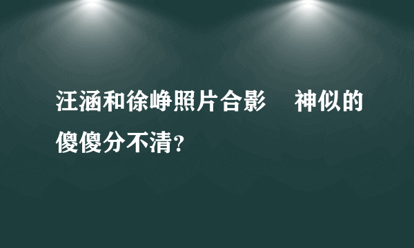 汪涵和徐峥照片合影    神似的傻傻分不清？