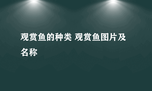 观赏鱼的种类 观赏鱼图片及名称