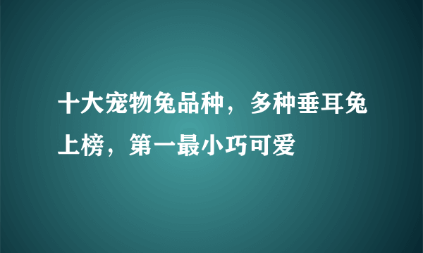 十大宠物兔品种，多种垂耳兔上榜，第一最小巧可爱