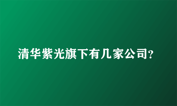 清华紫光旗下有几家公司？